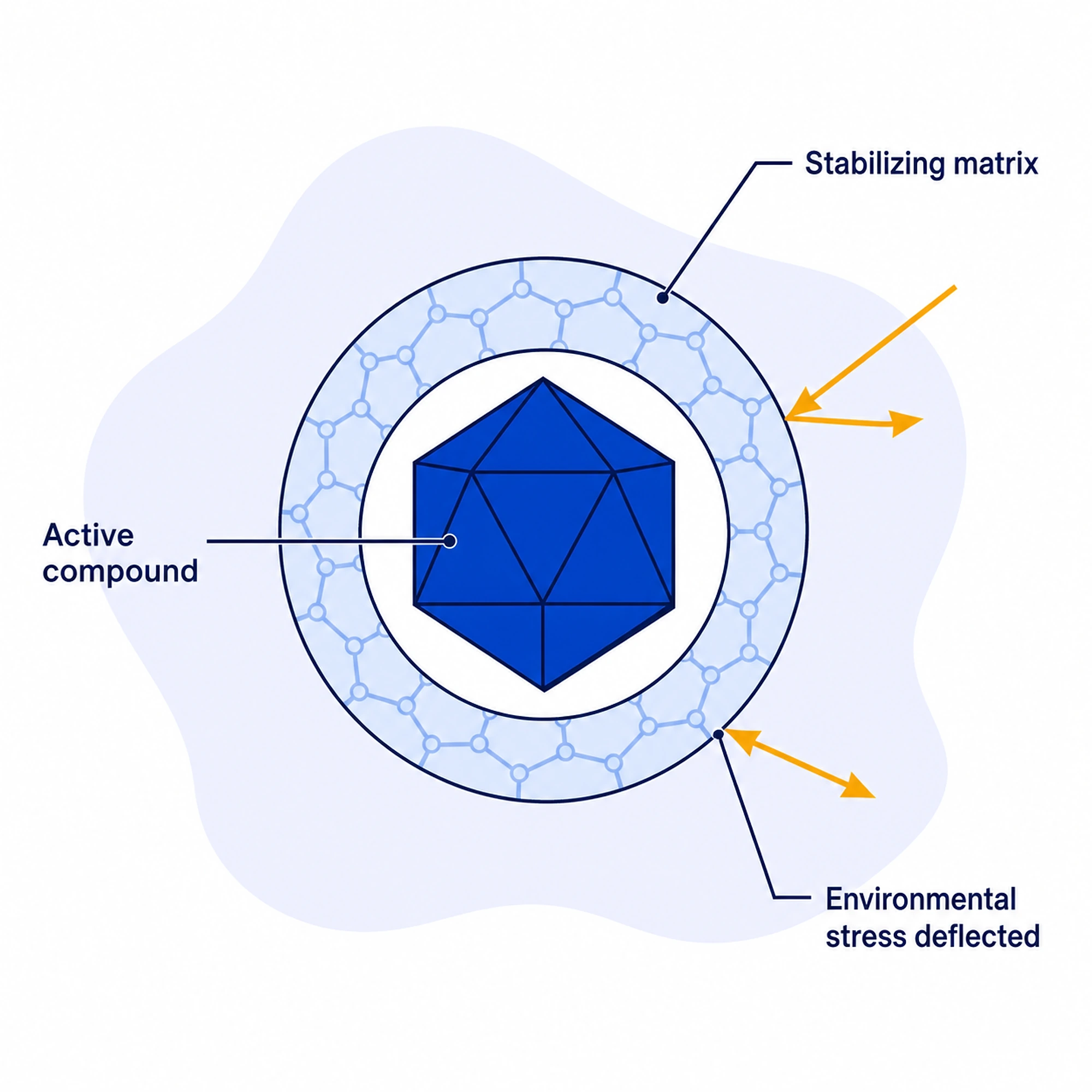 Diagram: an active compound enclosed in a stabilizing matrix that deflects environmental stress